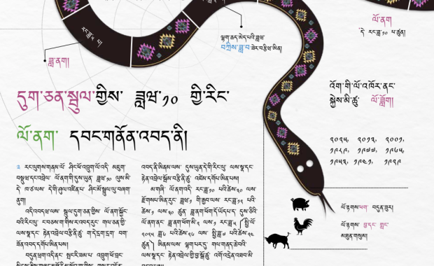 དུག་ཅན་སྦུལ་གྱིས་ ཟླཝ་༡༠ གྱི་རིང་ ལོ་ནག་དབང་གནོན་འབད་ནི།